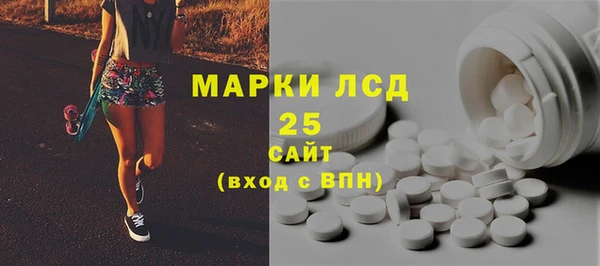 стаф Богданович