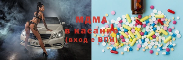 стаф Богданович