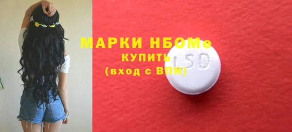 spice Богородицк
