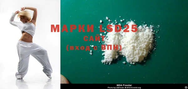 spice Богородицк