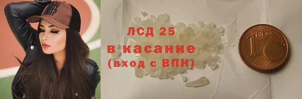 spice Богородицк