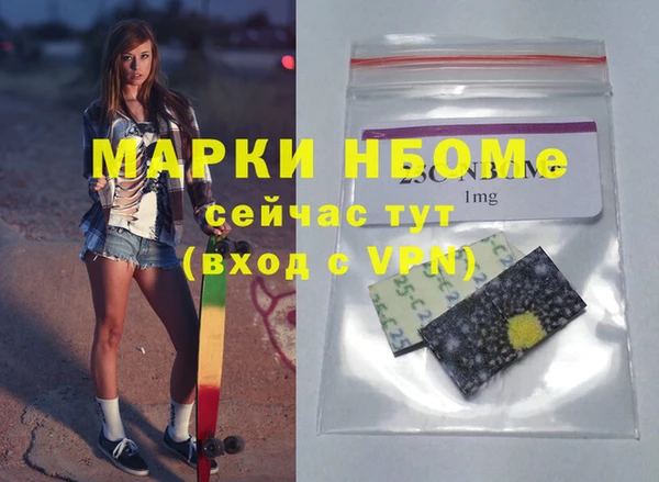 spice Богородицк