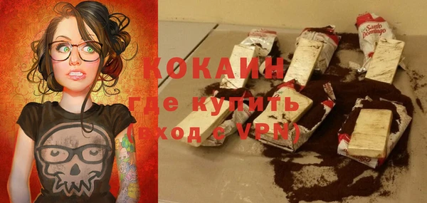 spice Богородицк