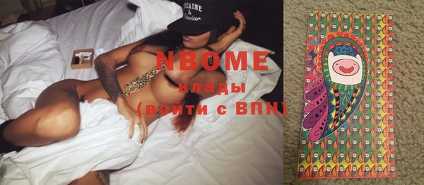 spice Богородицк
