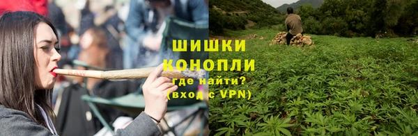 spice Богородицк