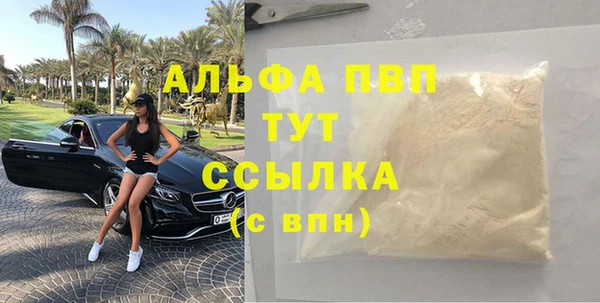 spice Богородицк
