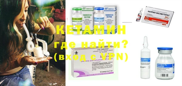 стаф Богданович