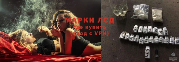 стаф Богданович